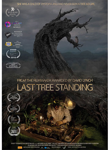 Last Tree Standing