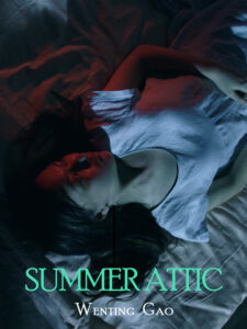 Summer Attic<p>(China)