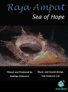 Raja Ampat: Sea of Hope<p>(Singapore)